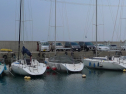 P1020225.jpg