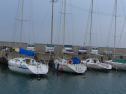 P1020228.jpg
