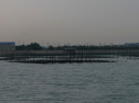 P1020264.jpg