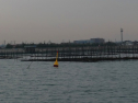 P1020265.jpg