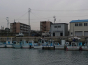 P1020275.jpg
