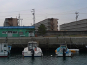 P1020277.jpg