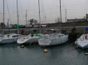 P1020279.jpg