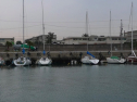 P1020287.jpg