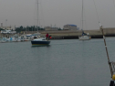 P1020291.jpg