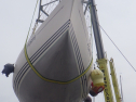 RIMG3950.JPG