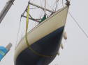 RIMG3972.JPG