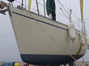 RIMG3974.JPG