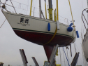 RIMG3982.JPG