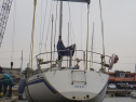 RIMG3989.JPG