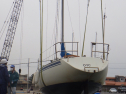 RIMG3993.JPG