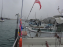 DSC04449.jpg