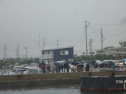 DSC04458.jpg