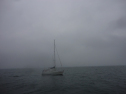 DSC04461.jpg