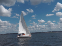 IMGA0301.jpg