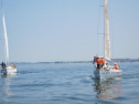 IMG_1212001.jpg