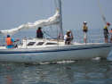 IMG_1224001.jpg
