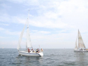 IMG_3741001.jpg