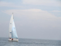 IMG_3743001.jpg