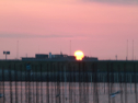 IMG_9593.jpg