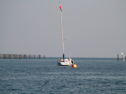 IMG_9617.jpg