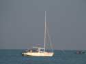 IMG_9618.jpg