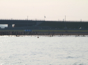 IMG_9620.jpg