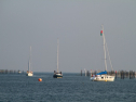IMG_9630.jpg