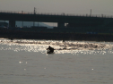 IMG_9638.jpg
