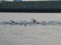 IMG_9647.jpg