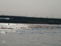 IMG_9648.jpg