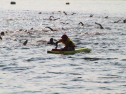IMG_9651.jpg