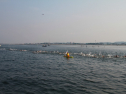 IMG_9658.jpg