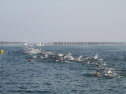 IMG_9663.jpg