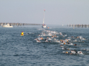 IMG_9664.jpg