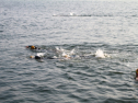 IMG_9667.jpg