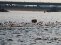 IMG_9673.jpg
