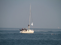 IMG_9674.jpg