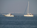 IMG_9675.jpg