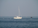 IMG_9682.jpg