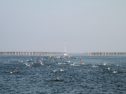 IMG_9683.jpg