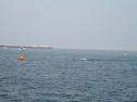 IMG_9701.jpg