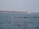 IMG_9702.jpg