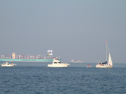 IMG_9705.jpg