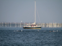 IMG_9706.jpg