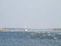 IMG_9715.jpg