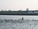 IMG_9723.jpg
