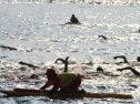 IMG_9726.jpg