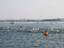 IMG_9734.jpg