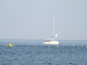 IMG_9735.jpg